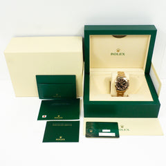 Rolex Daytona 116505