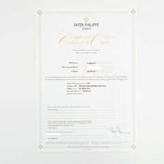 Patek Philippe Aquanaut 5168G-010