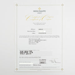 Patek Philippe Complications 5905R-010