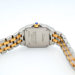 Cartier Santos Demoiselle W25066Z6
