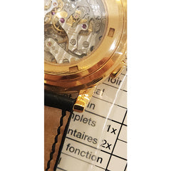 Patek Philippe Complications 5070R-001