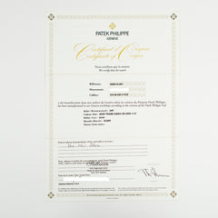 Patek Philippe Nautilus 5990/1A-001